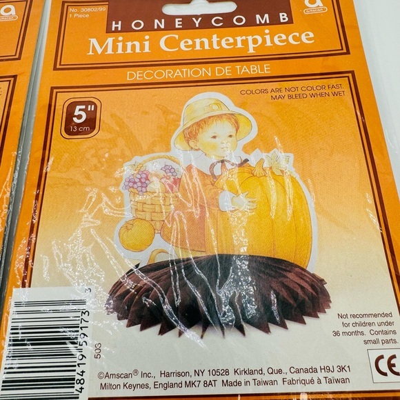 VTG Amscan Mini Thanksgiving Honeycomb Centerpieces Lot Of 2 Turkey/Pilgrim Boy - Picture 2 of 4